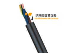 氟塑料絕緣和護套耐高溫控制電纜